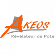 Directeur Commercial Junior