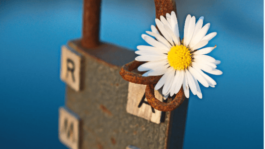 [CAP 361° - PILOTEZ VOTRE CARRIERE !] Atelier 1 : Se découvrir et dépasser ses peurs